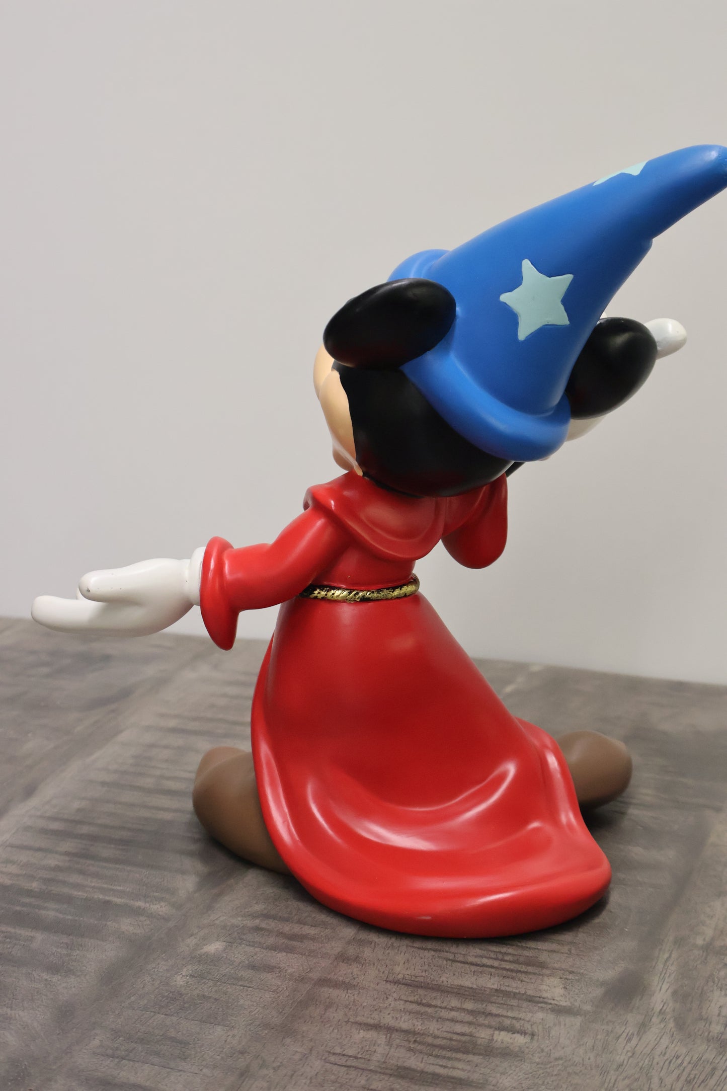 Een must-have voor elke Disney-fan.