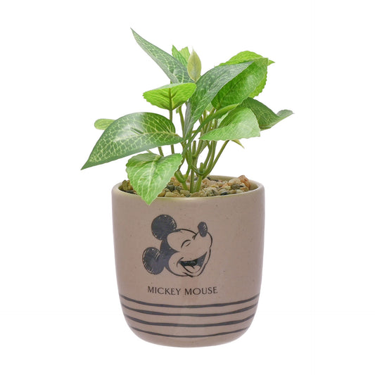 Disney Home Mickey Mouse Plant pot